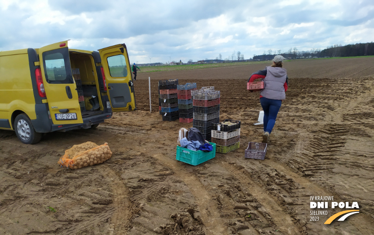Osoby przygotowujące się do sadzenia ziemniaków na polu - Krajowe Dni Pola 2023 Sielinko