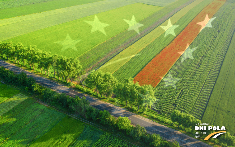 Na zdjęciu widok z drona na wiosenne zielone pola obsiane uprawami rolniczymi